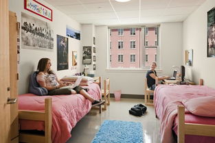 高校住宿服務回歸純粹，河北新規禁止公寓有償服務與住宿捆綁